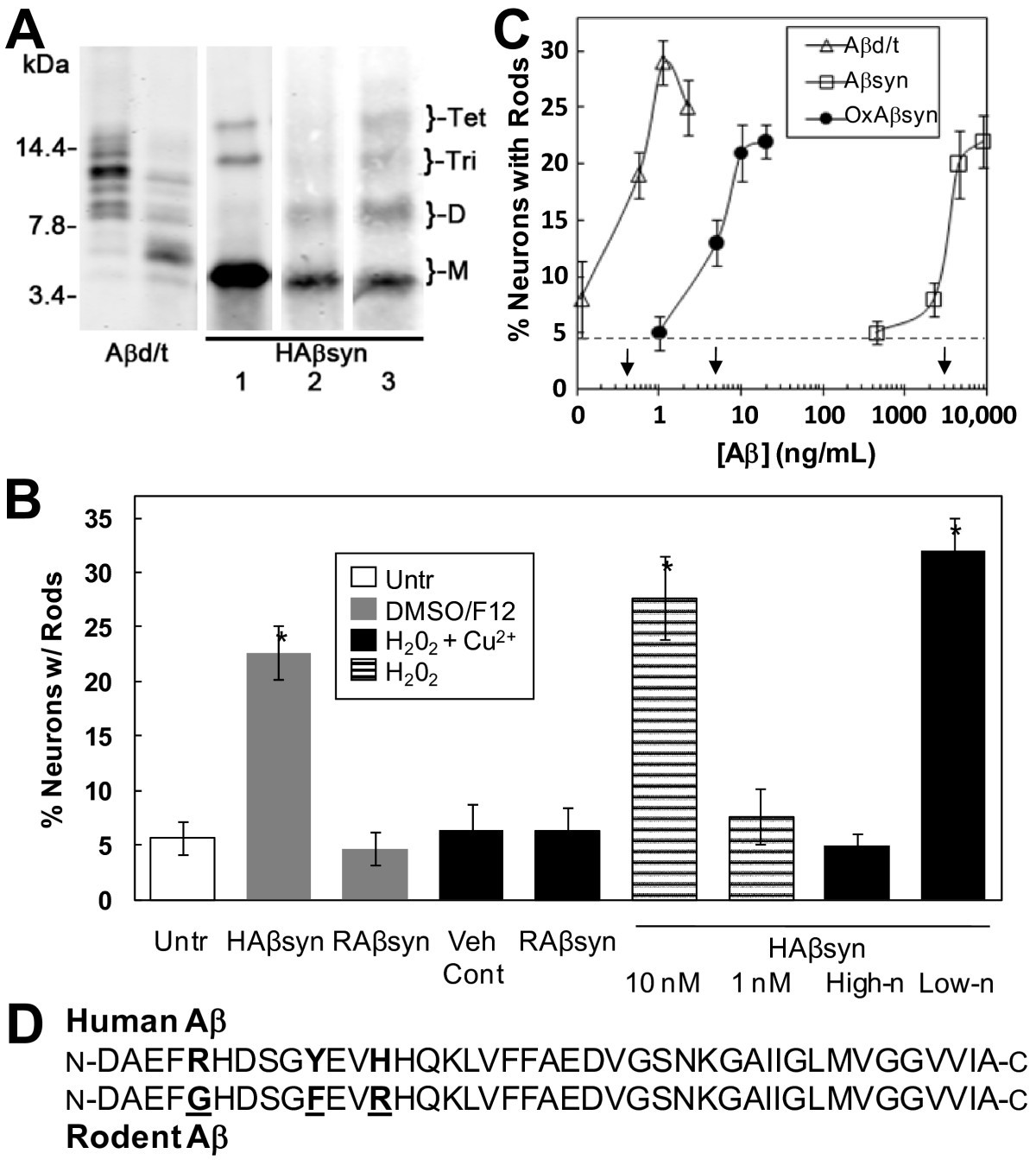 Amyloid beta dimers/trimers potently induce cofilinactin rods that are