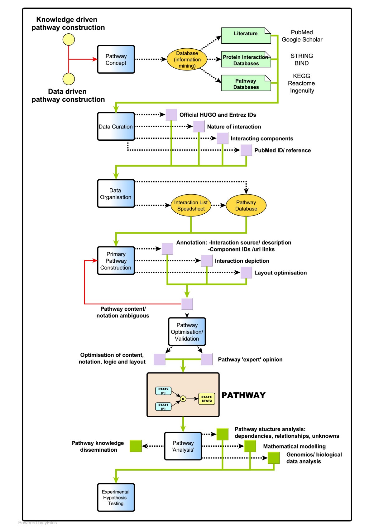 Construction of a large scale integrated map of macrophage ... process flow diagram html 