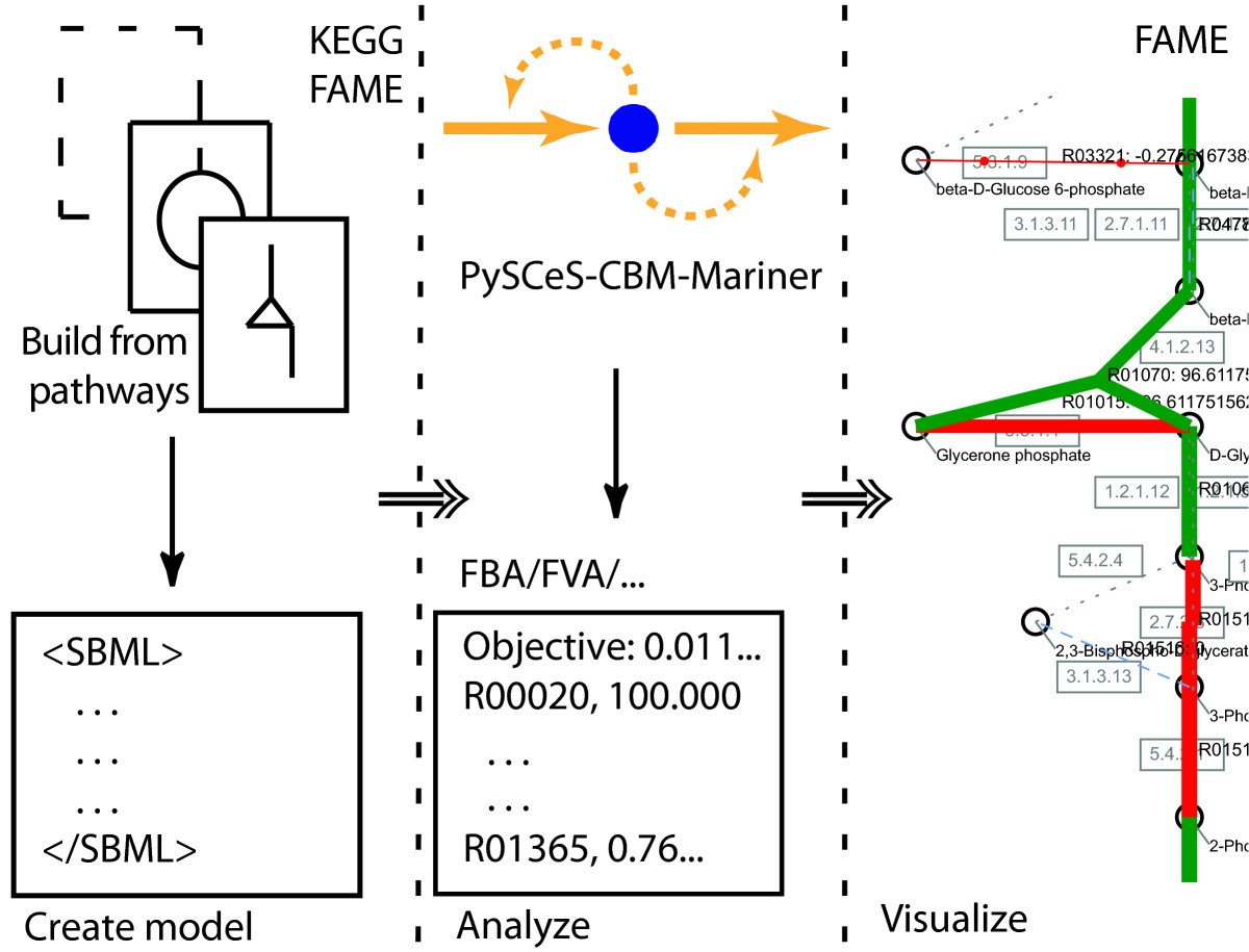 FAME, the Flux Analysis and Modeling Environment BMC Systems Biology