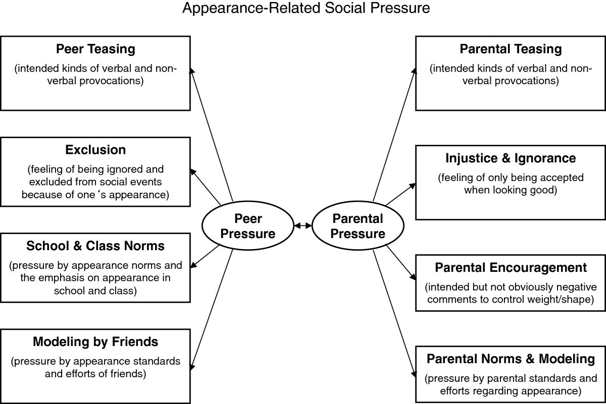 The face of appearancerelated social pressure gender, age and body mass variations in peer and
