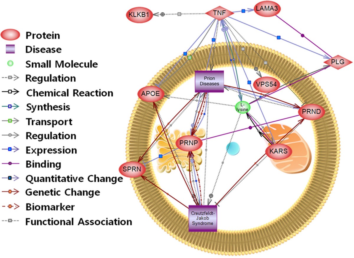 Biological network inferences for a protection mechanism against
