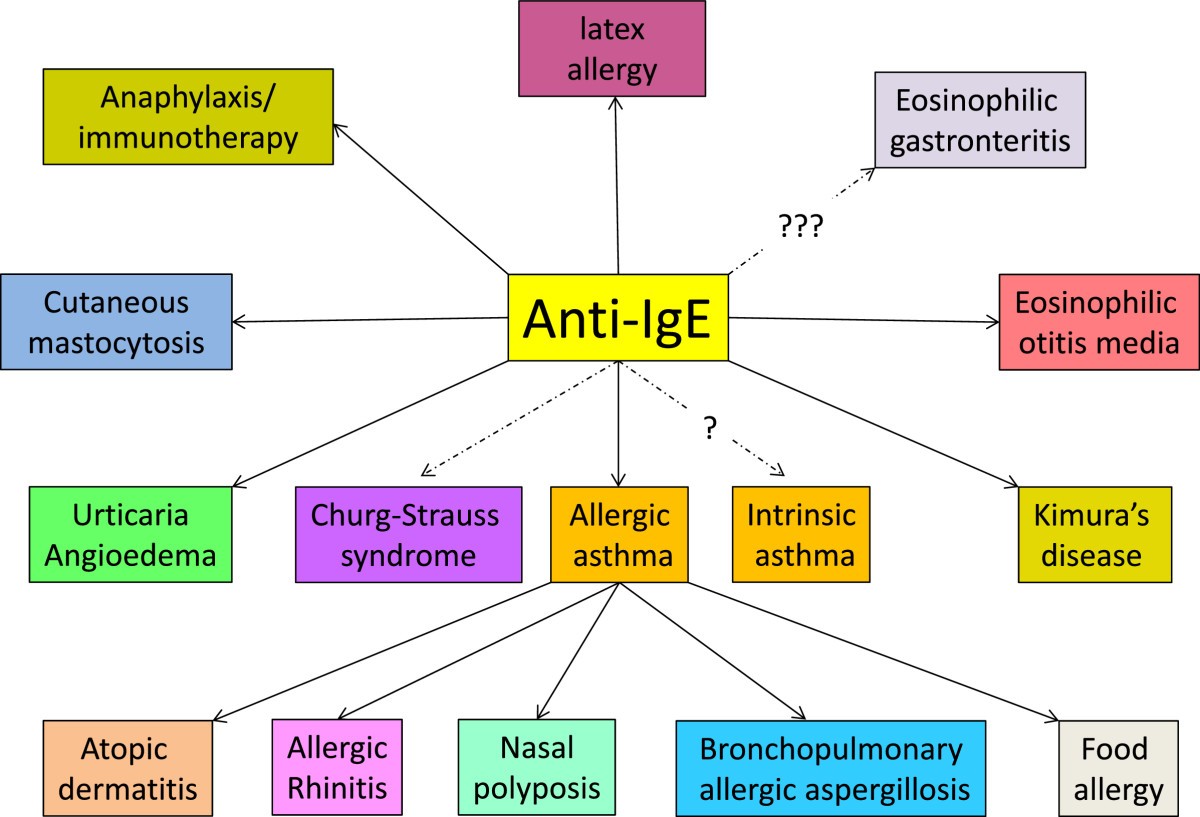 New strategies with antiIgE in allergic diseases World Allergy