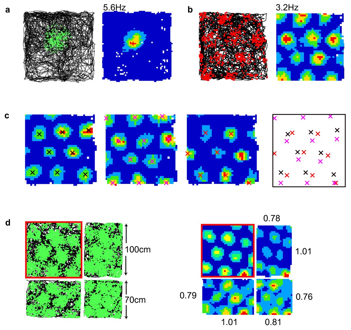 From A to Z a potential role for grid cells in spatial navigation