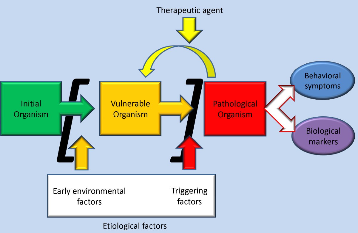 Criteria of validity for animal models of psychiatric disorders focus