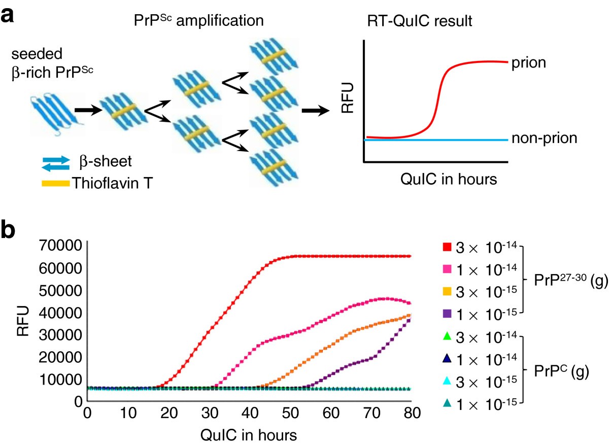 Establishing Quantitative Real-time Quaking-induced Conversion (qRT ...