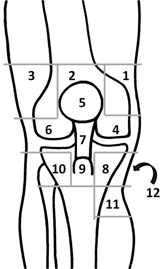 Knee Location Chart