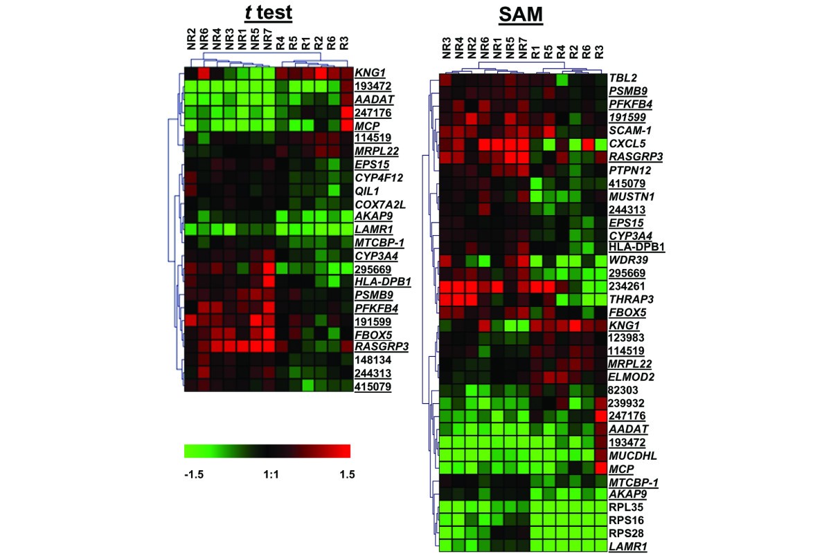 Gene profiling in white blood cells predicts infliximab responsiveness