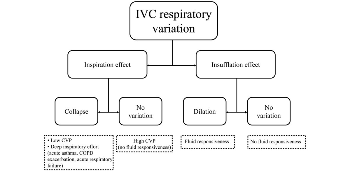 Respiratory variation in inferior vena cava diameter surrogate of