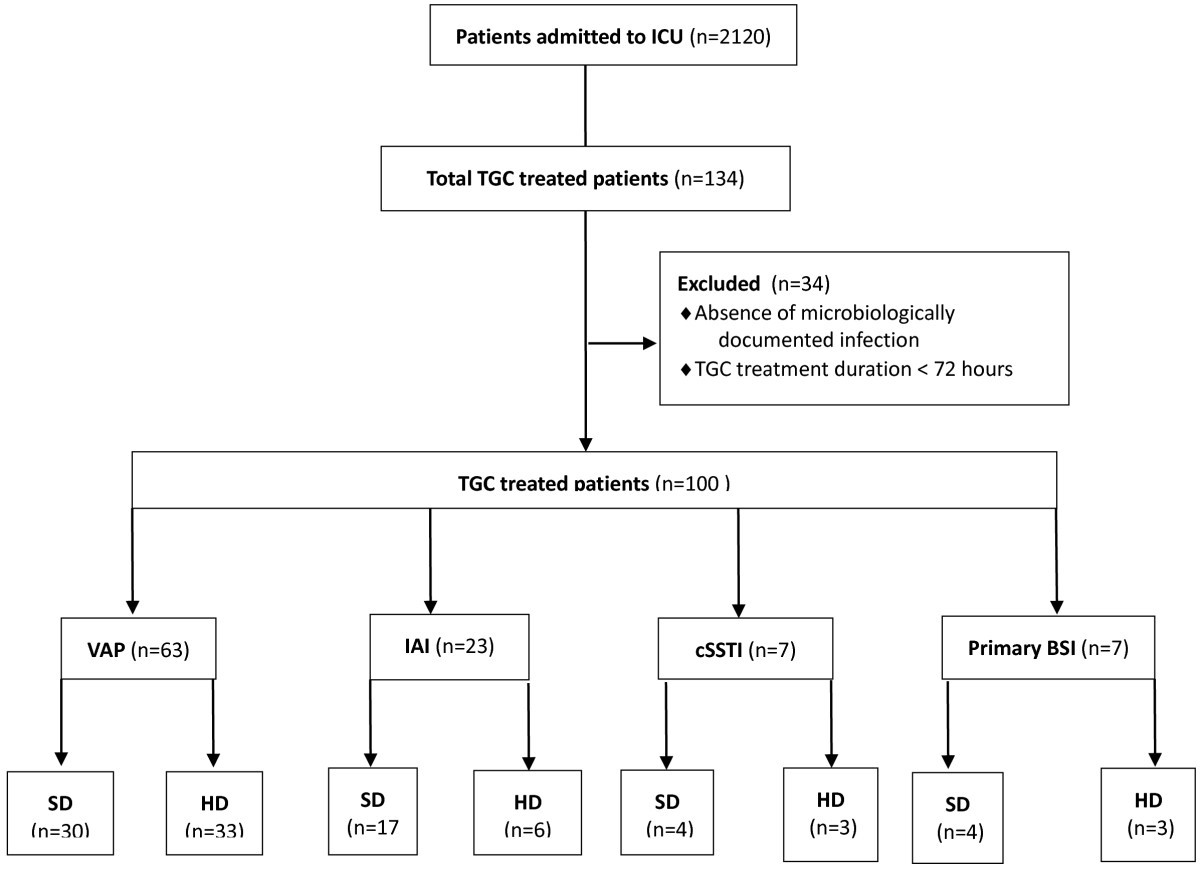 High Dose Tigecycline In Critically Ill Patients With