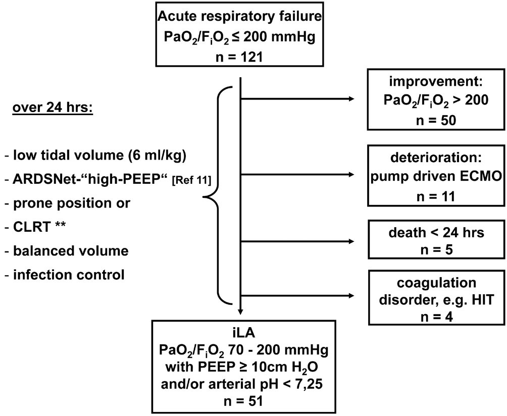 Pumpless extracorporeal interventional lung assist in patients with