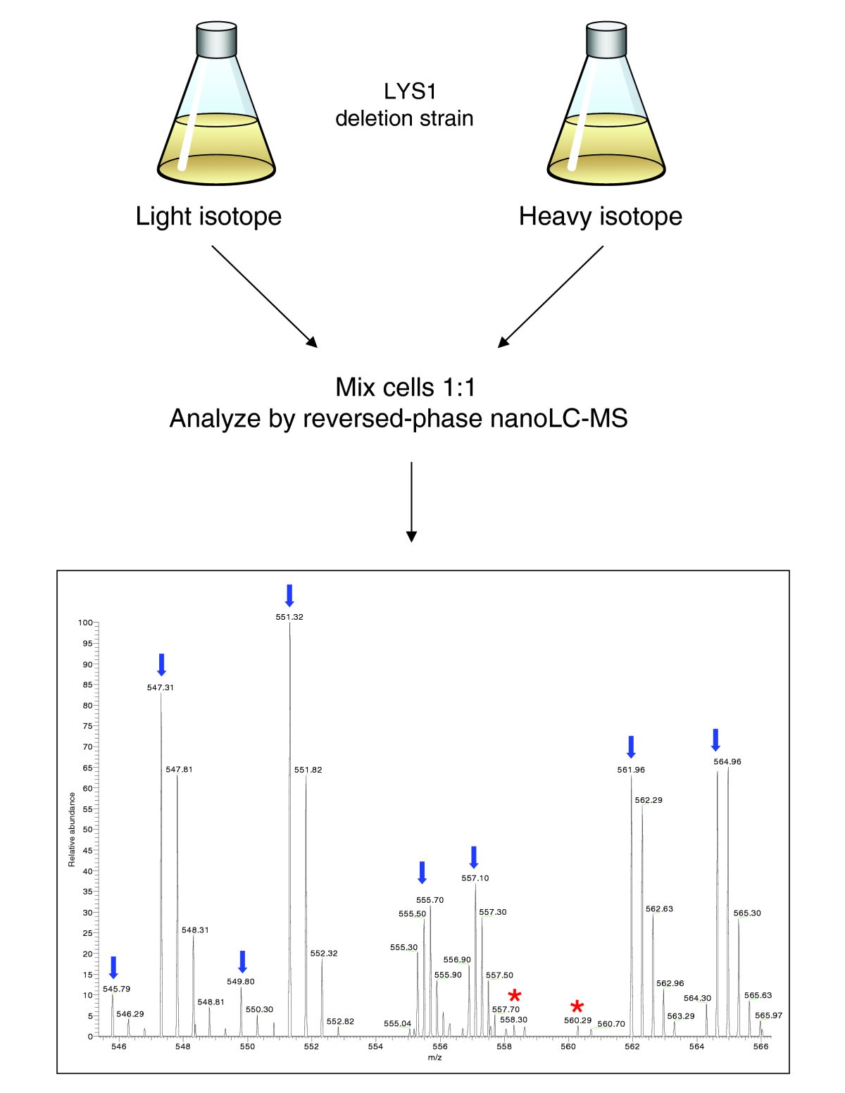 Status of complete proteome analysis by mass spectrometry SILAC