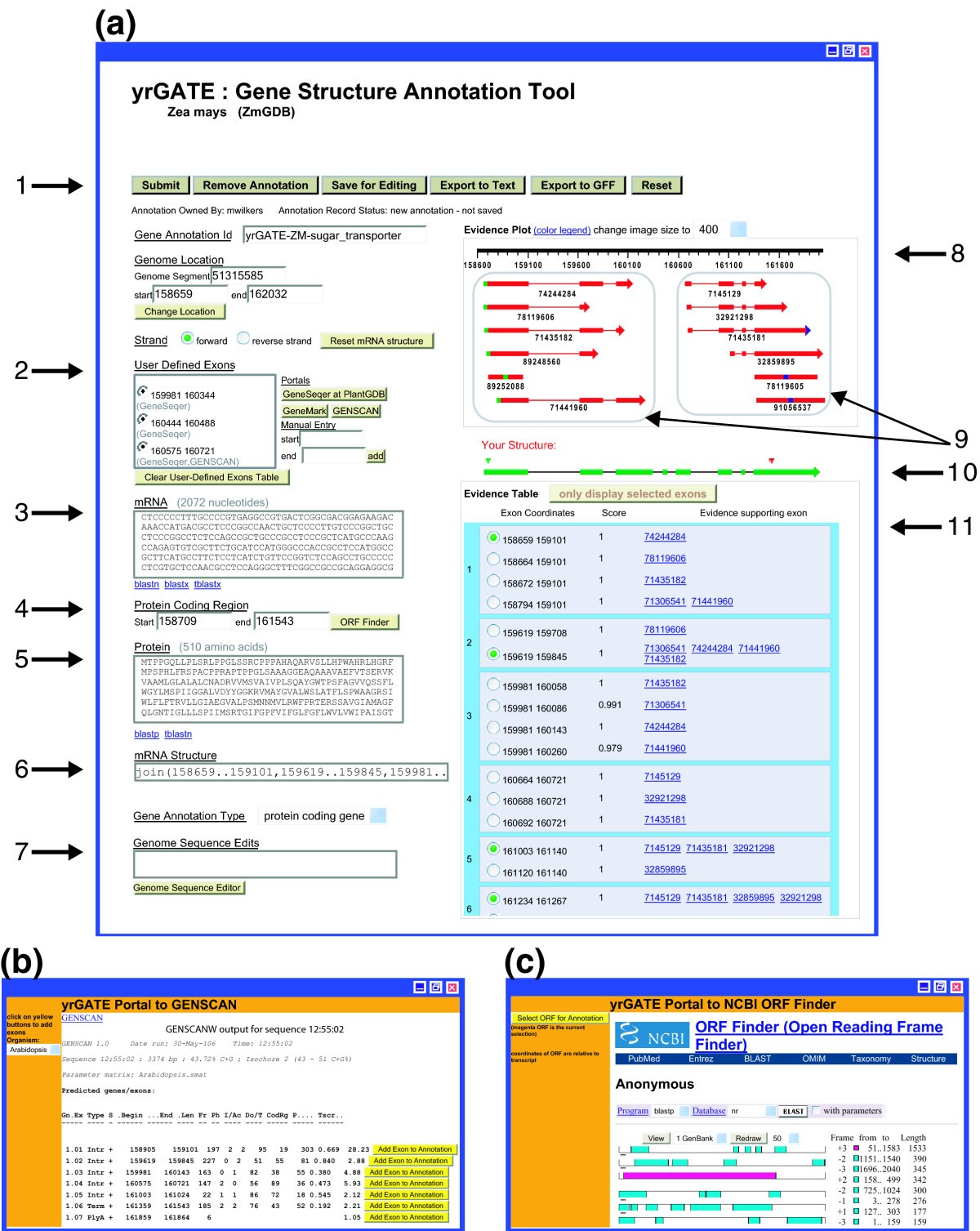 yrGATE: a web-based gene-structure annotation tool for the ...