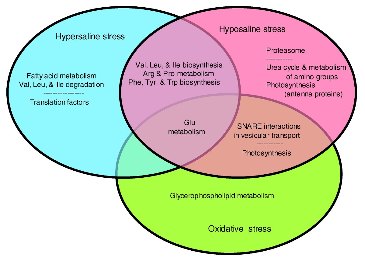 Global expression analysis of the brown alga Ectocarpus ... fungal cell venn diagram 