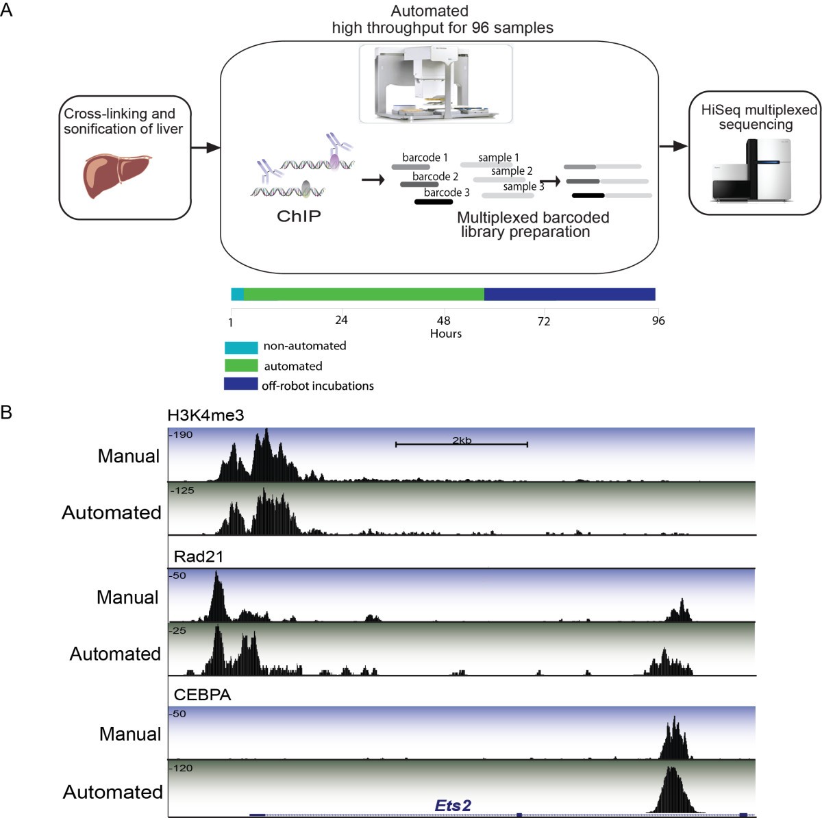 AHTChIPseq a completely automated robotic protocol for high