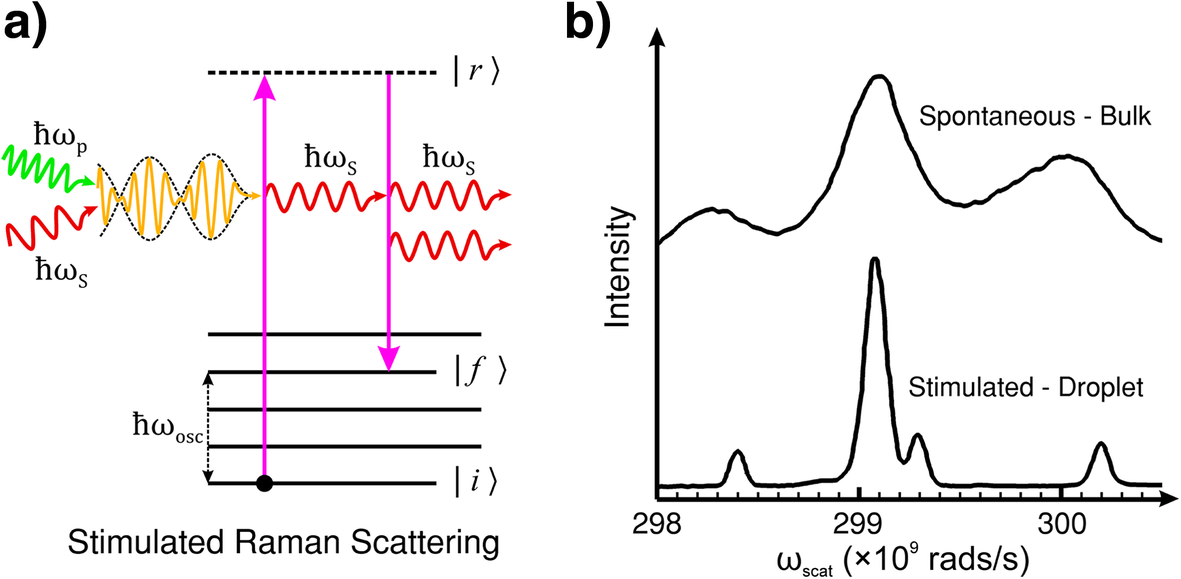 Raman Techniques: Fundamentals and Frontiers | Nanoscale Research Letters | Full Text