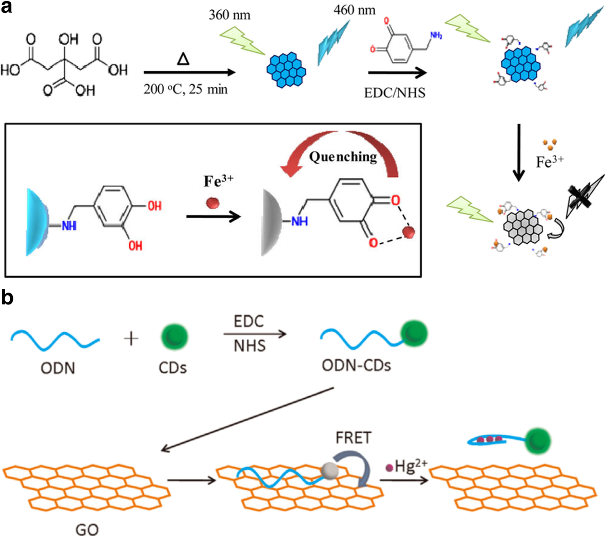 Carbon Dots as an Effective Fluorescent Sensing Platform for Metal Ion