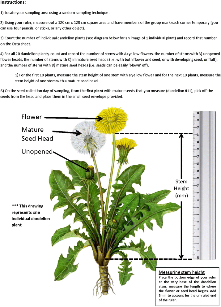 The dandelion evolution outreach program: learning through inquiry-based community engagement ...