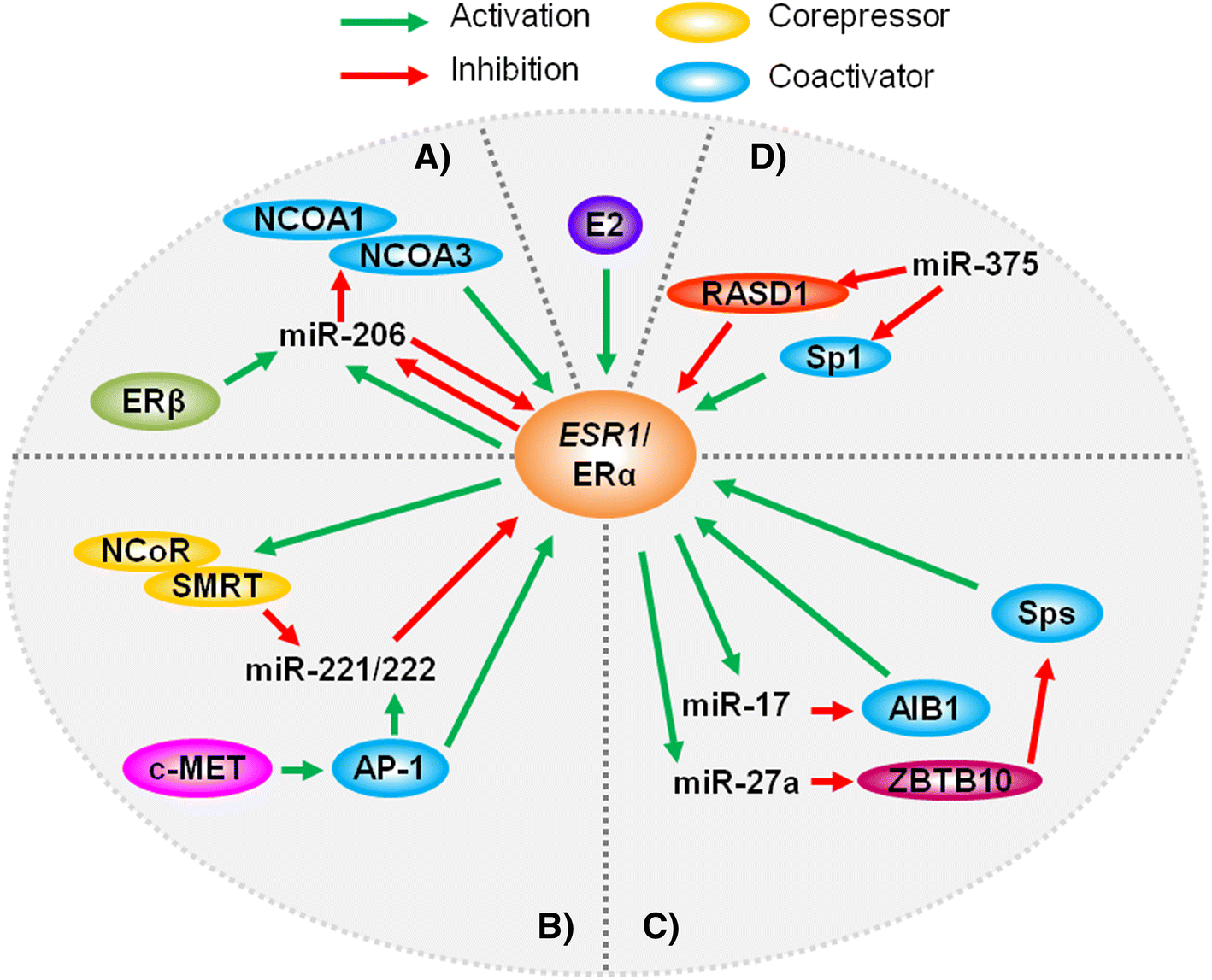 microRNA Regulation in Estrogen ReceptorPositive Breast Cancer and