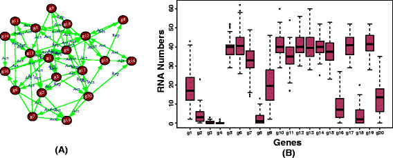 SgnesR: An R package for simulating gene expression data 
