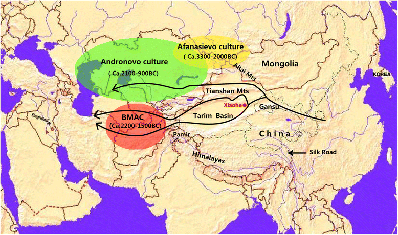 Analysis of ancient human mitochondrial DNA from the Xiaohe cemetery