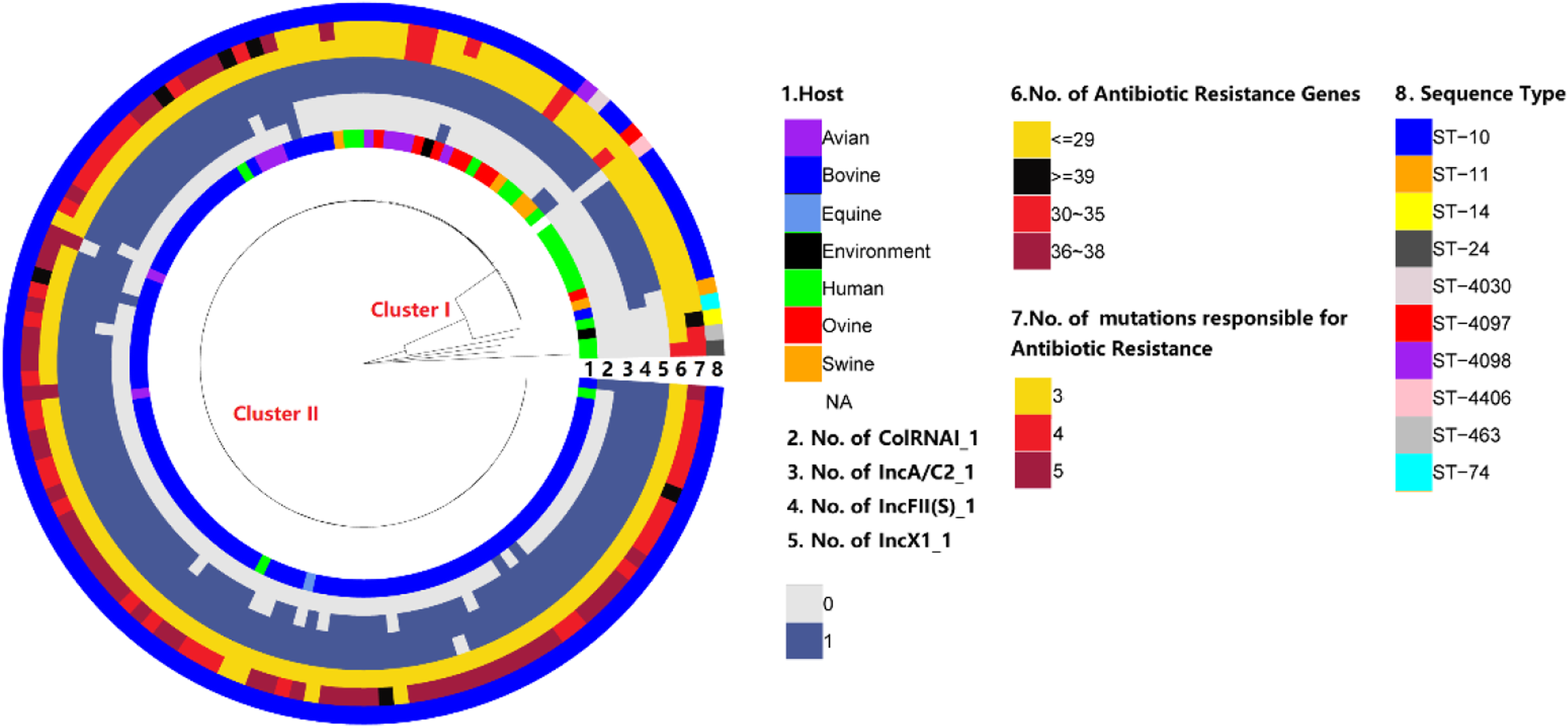 Characterization of Salmonella Dublin isolated from bovine and human