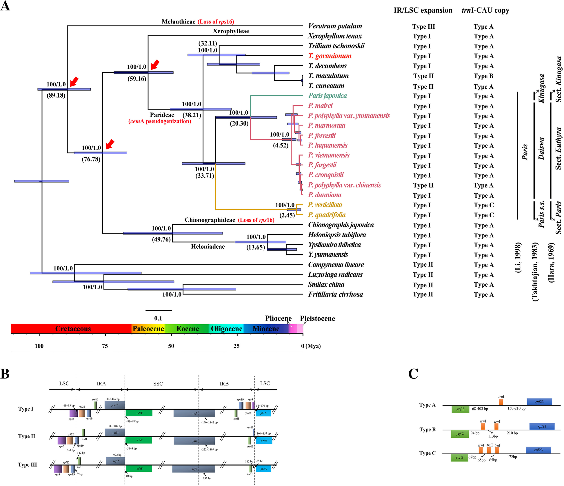 the ultimate online dating manual pdf