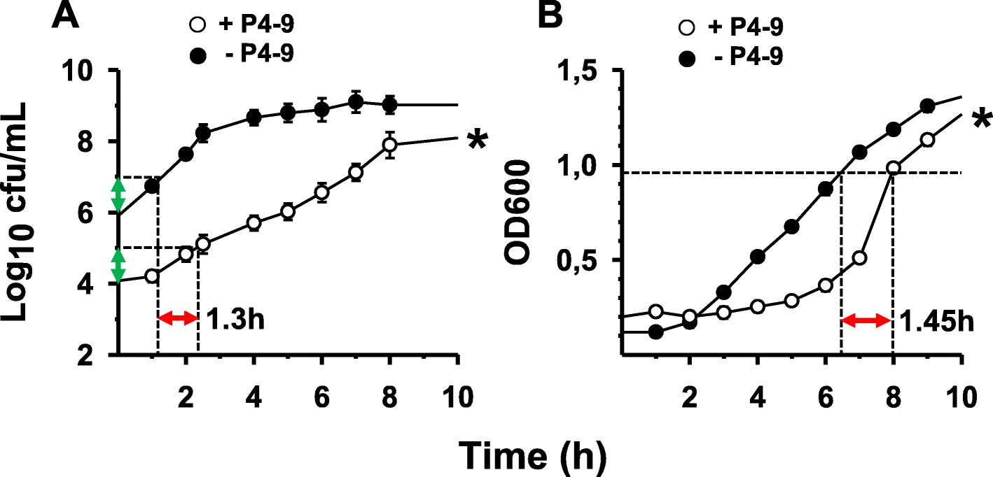 A synthetic peptide sensitizes multidrug resistant Pseudomonas