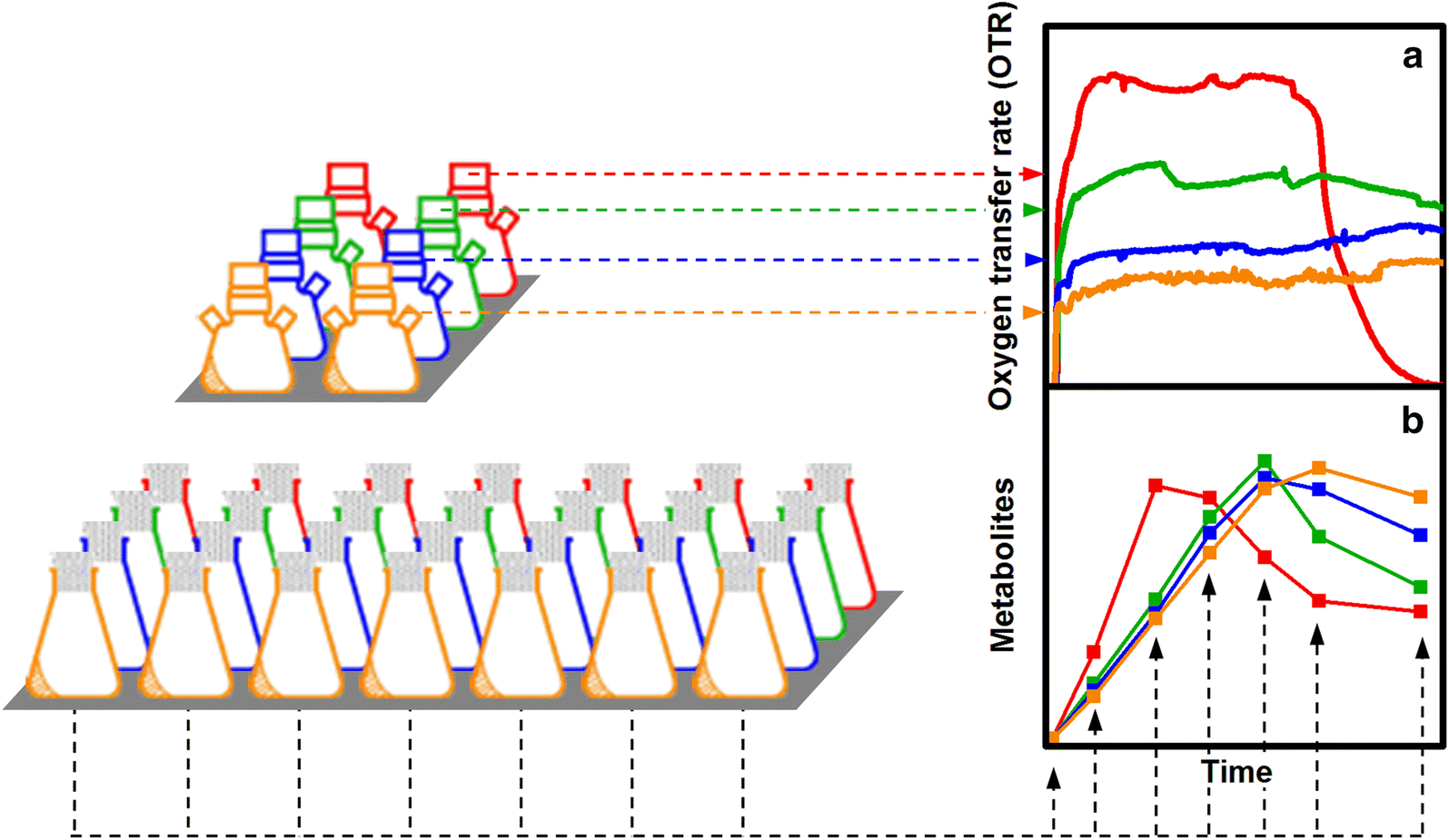 Shake flask methodology for assessing the influence of the maximum