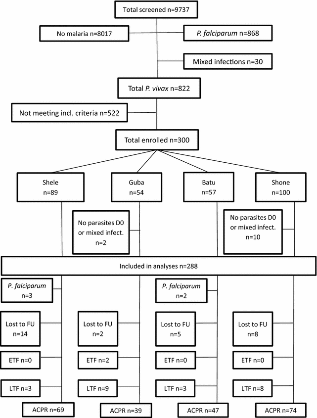 Chloroquine efficacy for Plasmodium vivax malaria treatment in southern