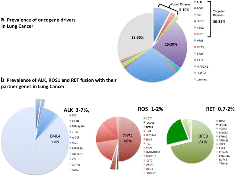 The rationale for druggability of CCDC6tyrosine kinase