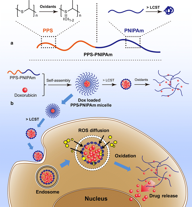 Polymeric Micelles With Dual Thermal And Reactive Oxygen Species (ROS ...