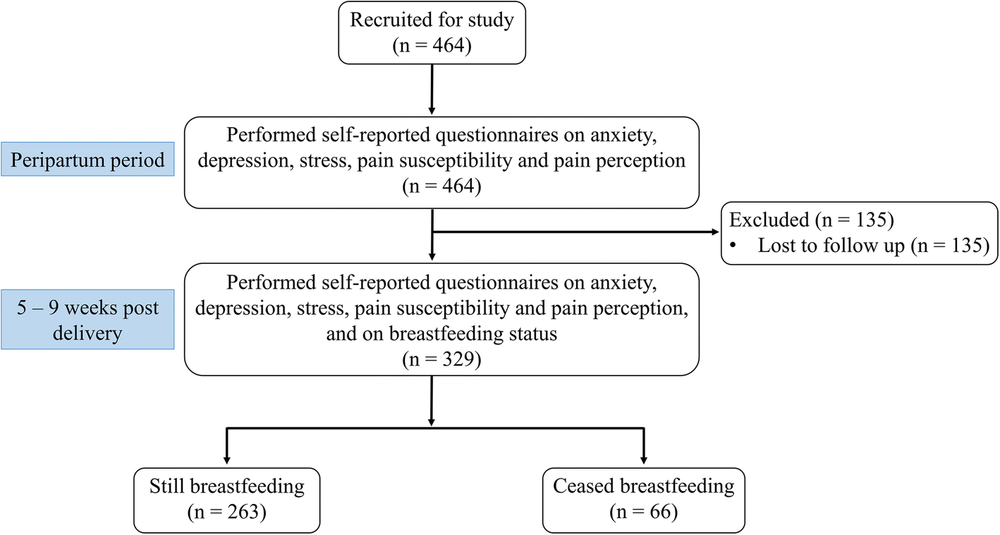 Investigating factors associated with success of breastfeeding in first