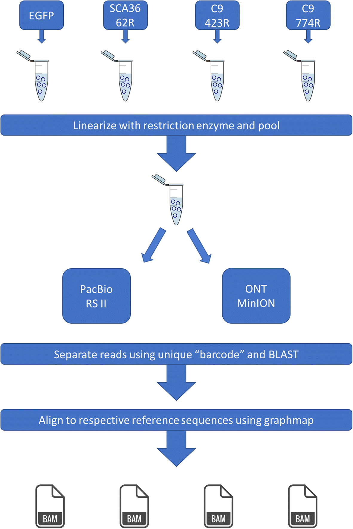 Longread sequencing across the C9orf72 ‘GGGGCC’ repeat expansion