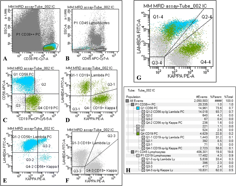 Flow cytometry remission by Ig light chains ratio is a 
