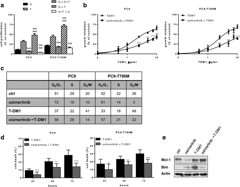 t dm1 clinical trials t dm1 clinical trials