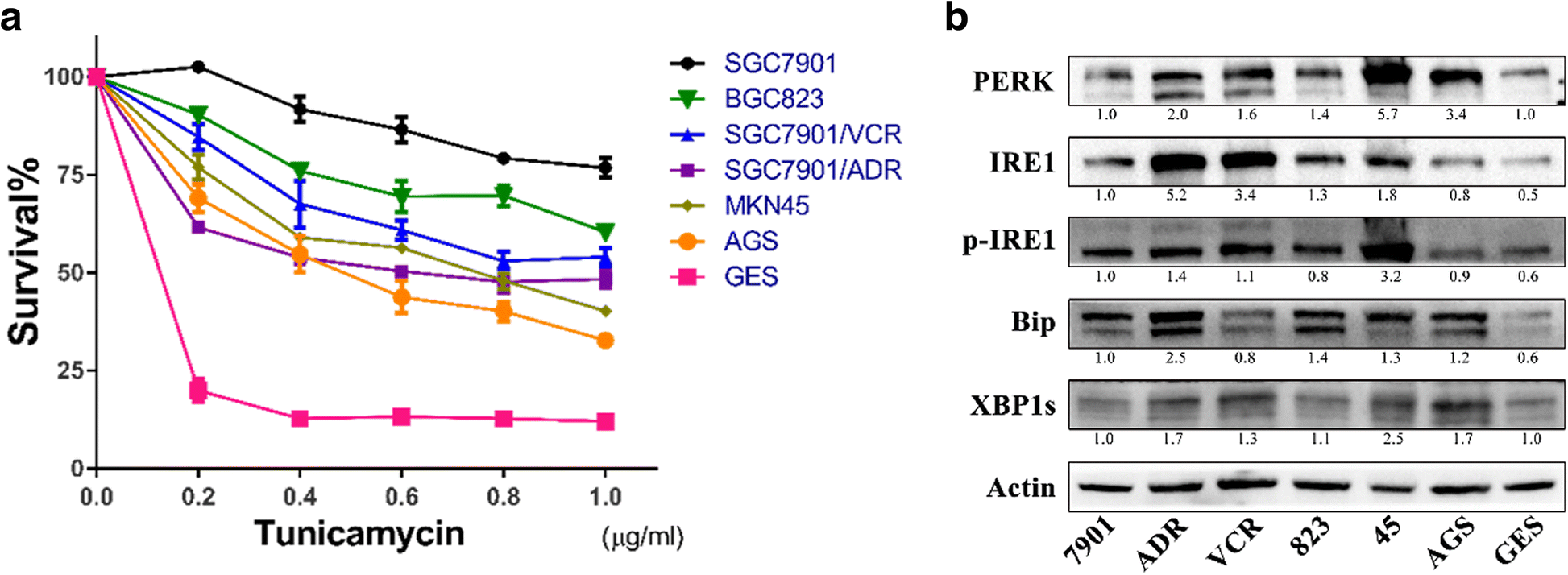 Tunicamycin specifically aggravates ER stress and