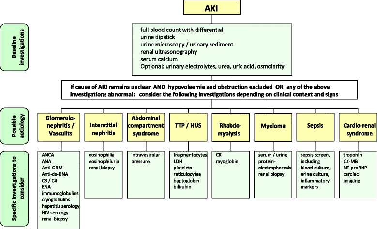 acute kidney injury 2016 diagnosis and diagnostic workup kidney creatinine chart