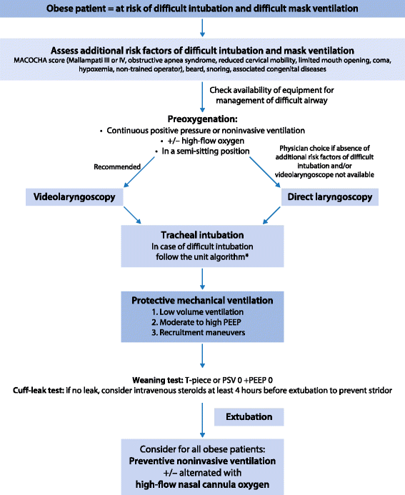 Mechanical ventilation in obese ICU patients from intubation to
