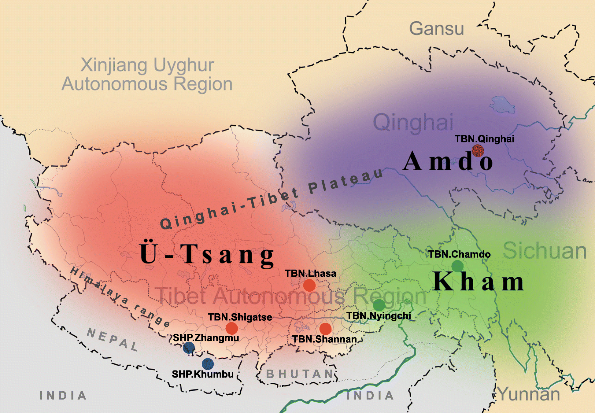 Differentiated demographic histories and local adaptations between