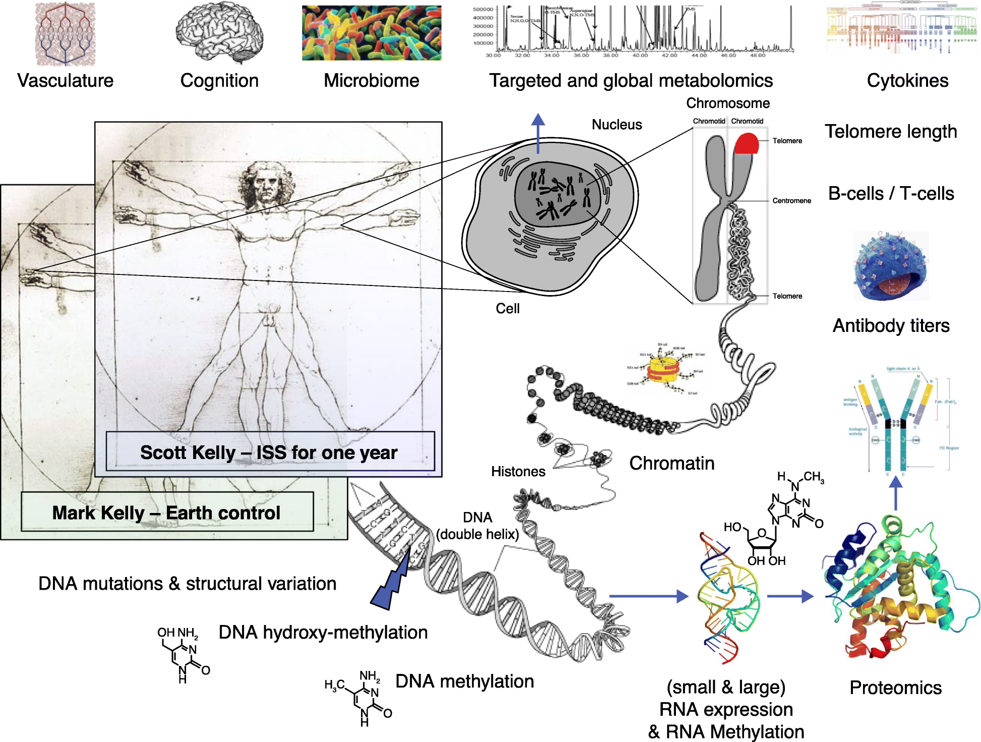 Where is genomics going next? Genome Biology Full Text