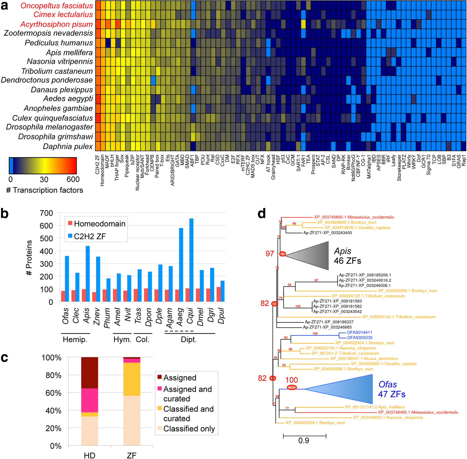 what is evolutionary trends in biology