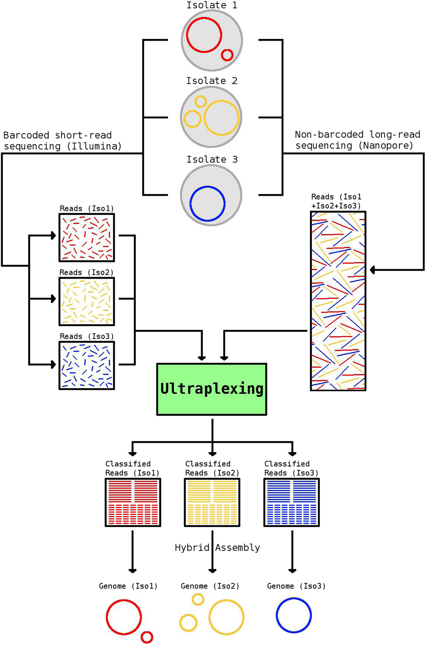 Ultraplexing increasing the efficiency of longread sequencing for