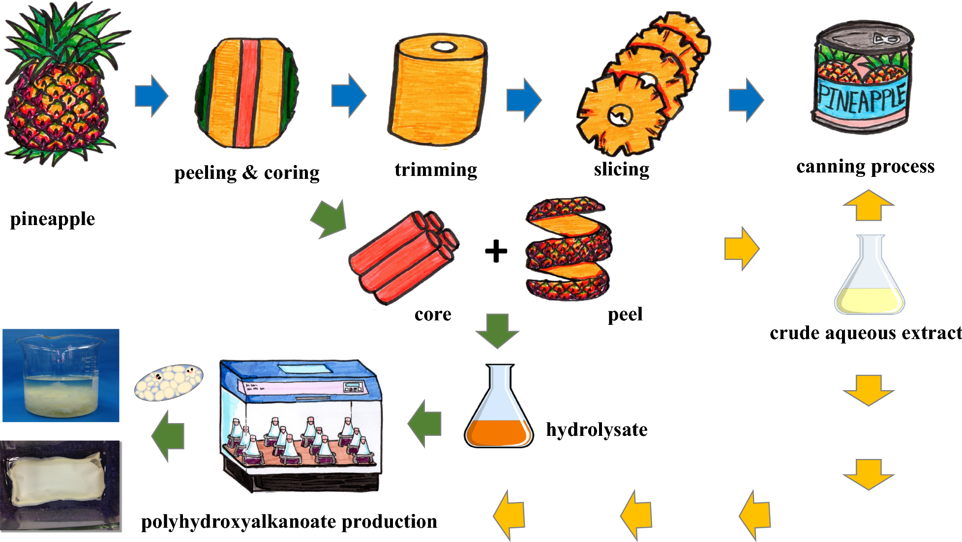 Use of agroindustrial residue from the canned pineapple industry for