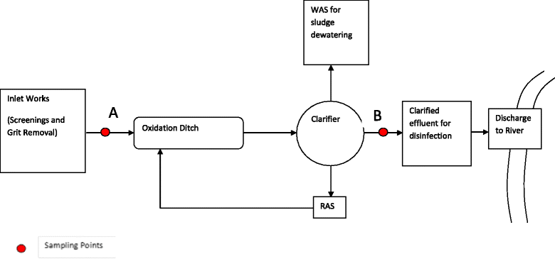 Removal of micropollutants through a biological wastewater ... chlorination system process flow diagram 