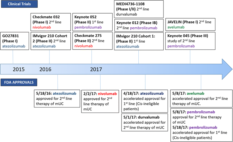 Biomarkers for immunotherapy in bladder cancer a moving