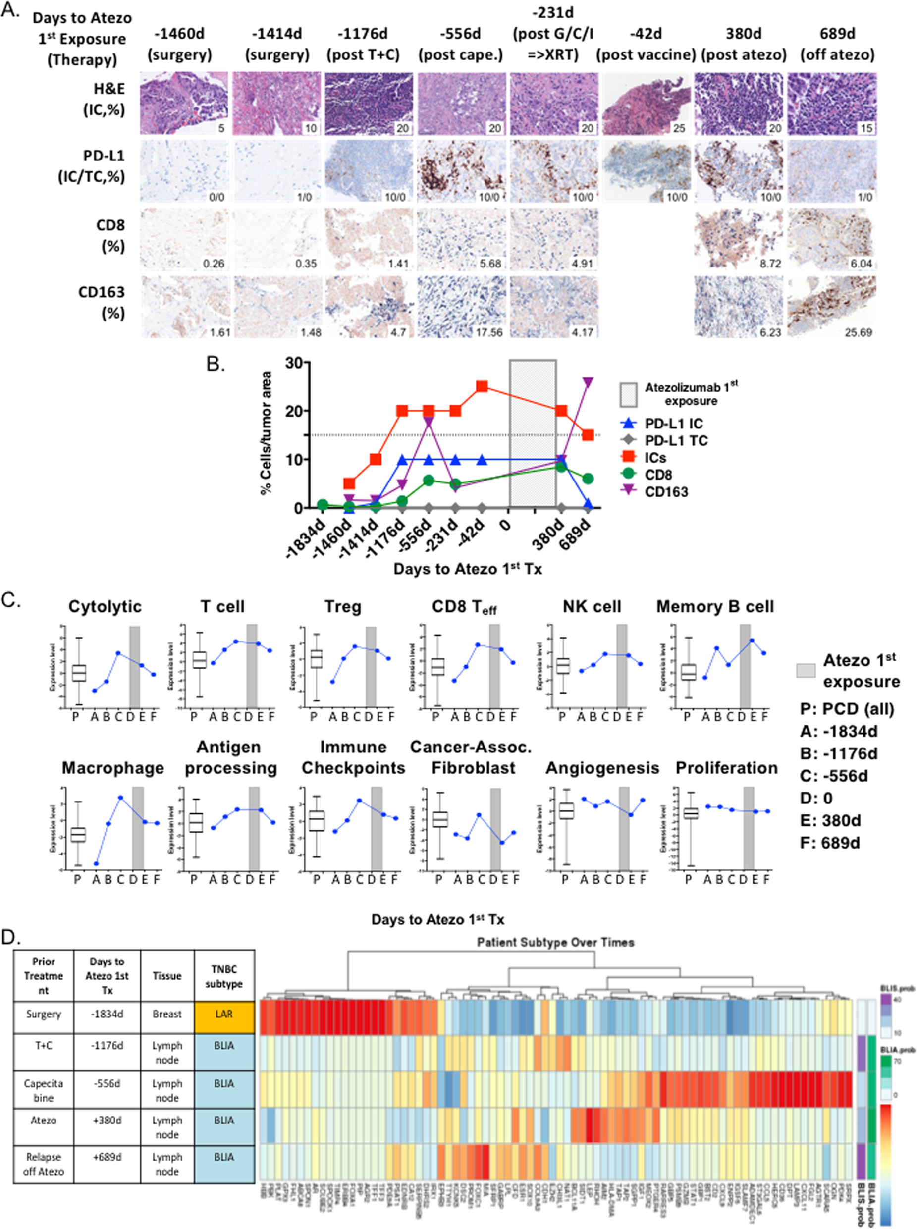 Tumor immune microenvironment and genomic evolution in a ...