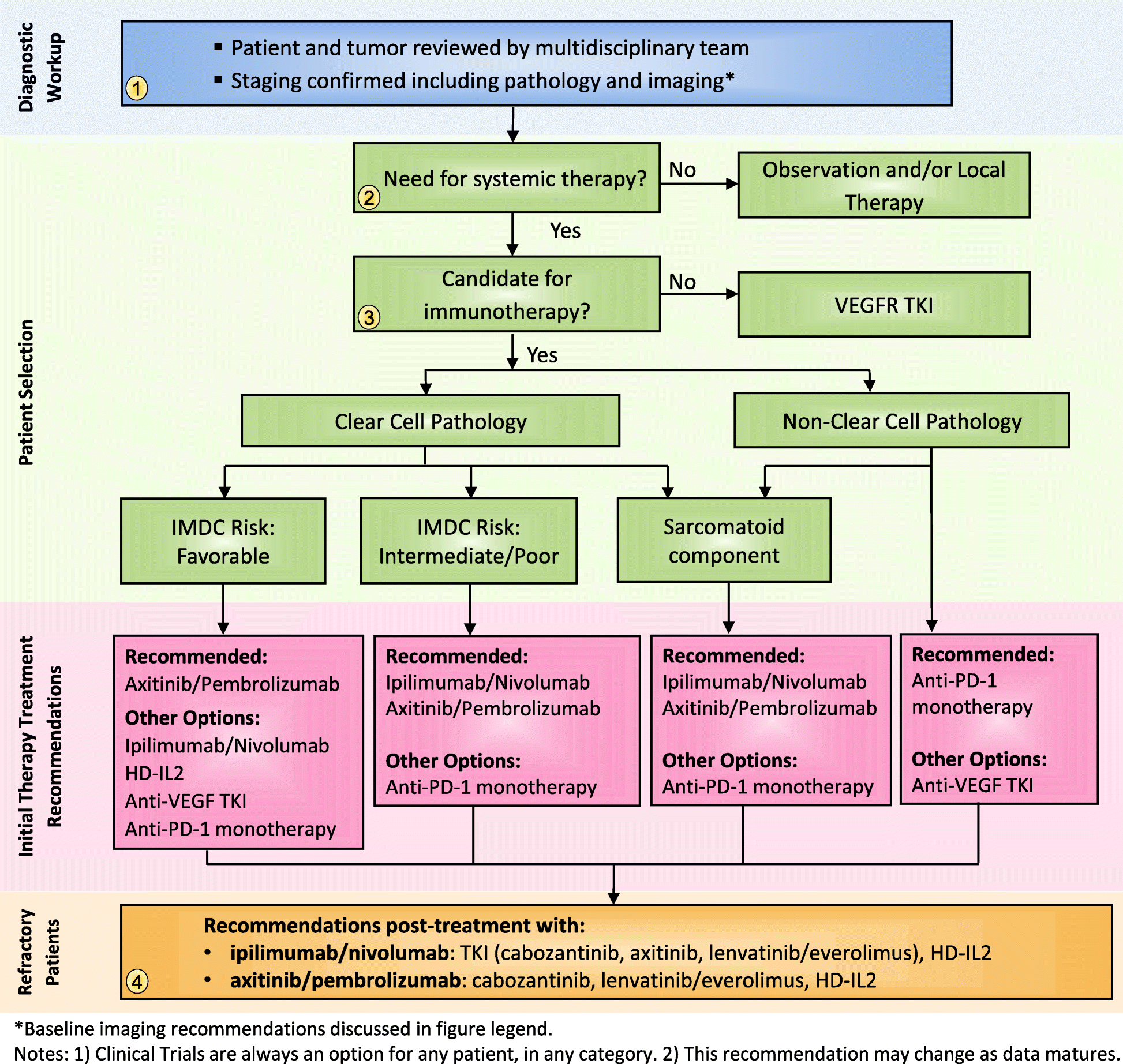 The Society for Immunotherapy of Cancer consensus