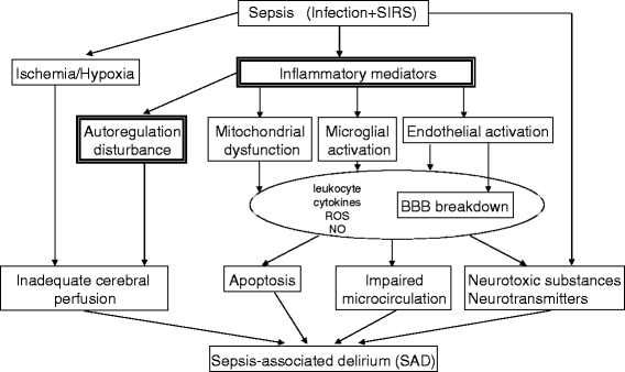 A clinical perspective of sepsis-associated delirium | Journal of ...