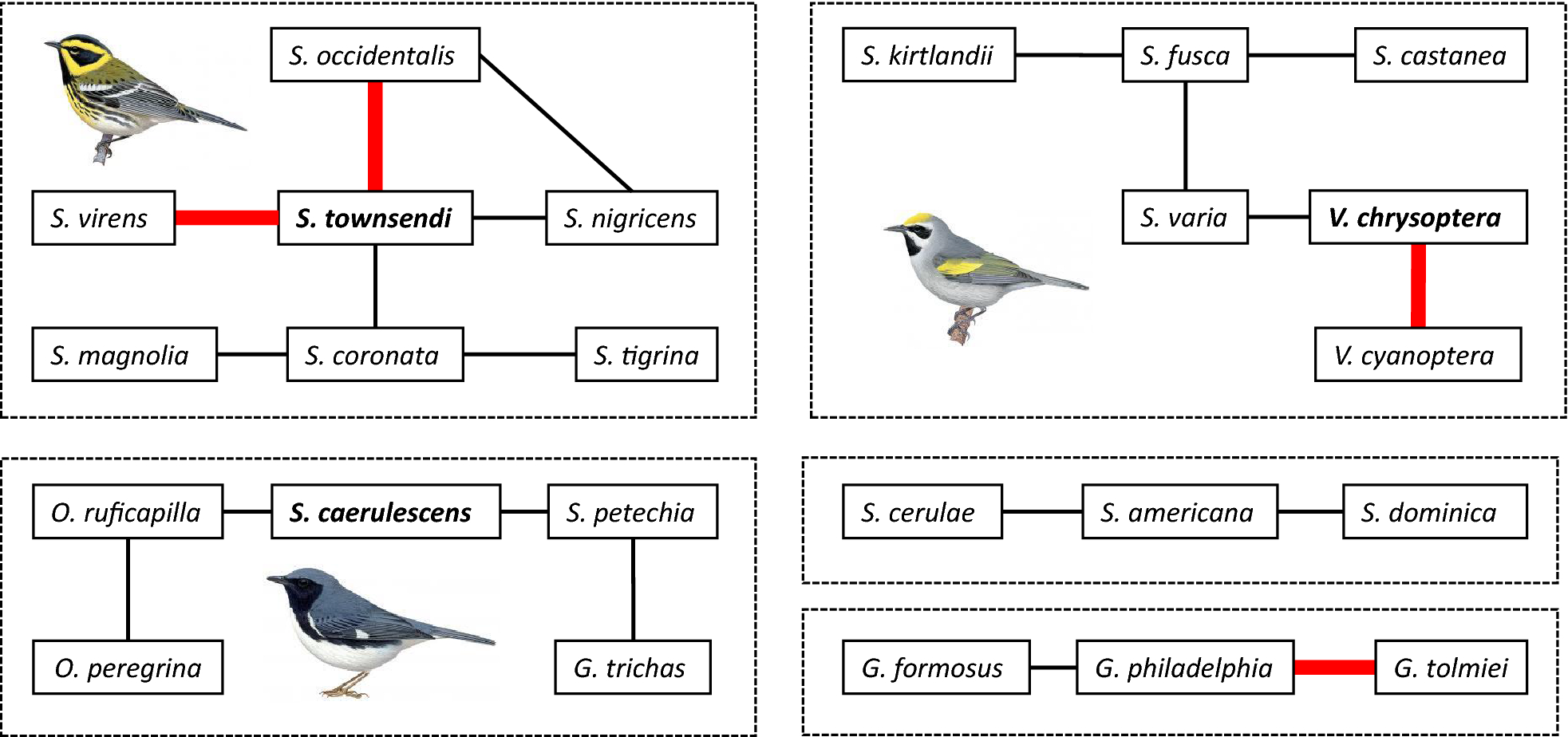 Multispecies hybridization in birds Avian Research Full Text