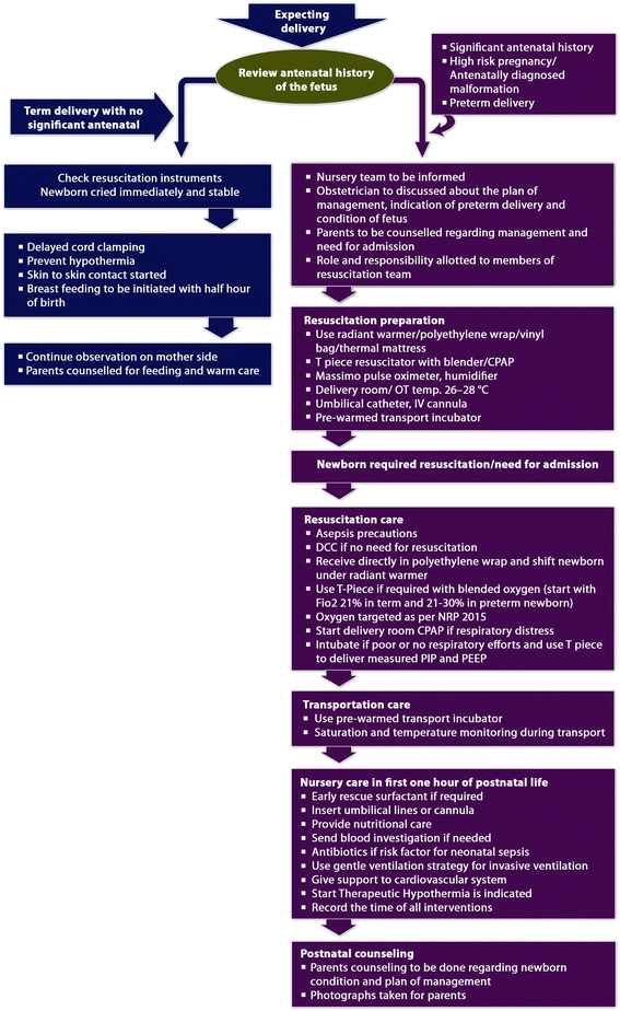 Golden hour of neonatal life: Need of the hour | Maternal ... diagram of hypernatremia 